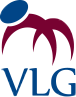 Logo VLG BV Epe